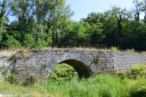 3769.jpg
