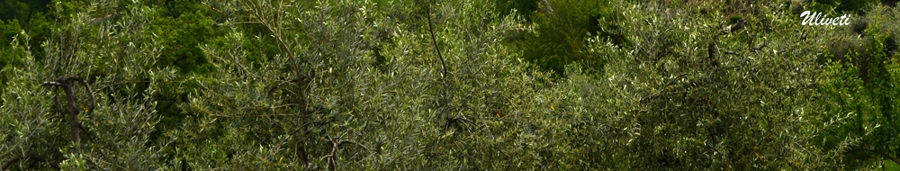 panoramica
