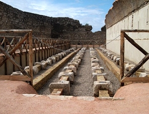 1332.jpg