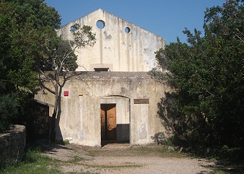 2636.jpg